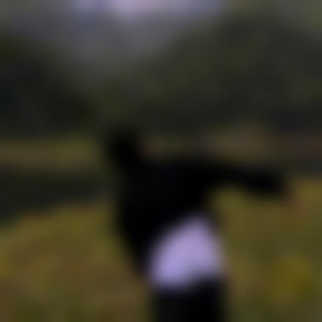 Privacy-protected Chinese gentleman profile